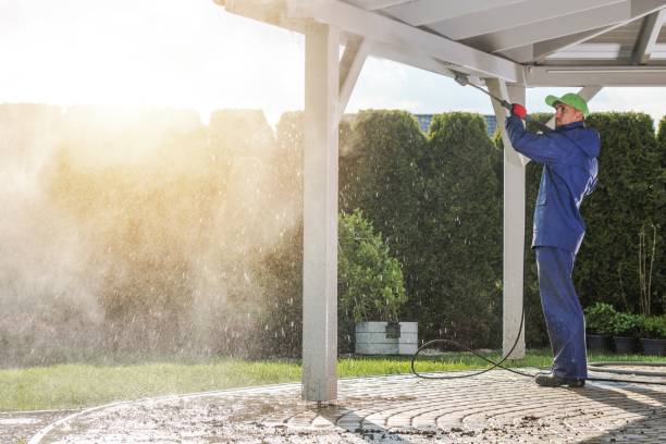 Best Solar Panel Cleaning  in White Knoll, SC
